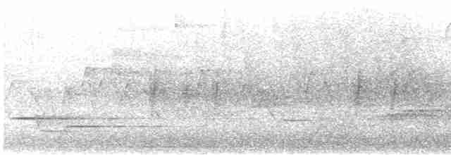 Sperlingsvogel, unbestimmt - ML619471137