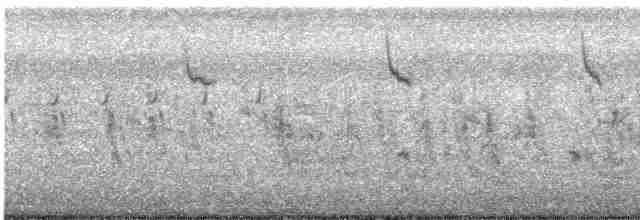 褐頭鷦鶯 - ML619471228