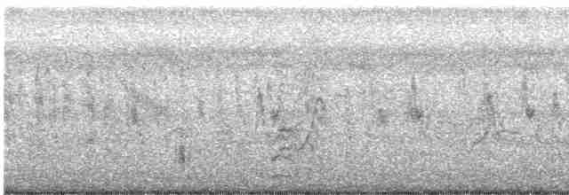 黑腹燕鷗 - ML619471245