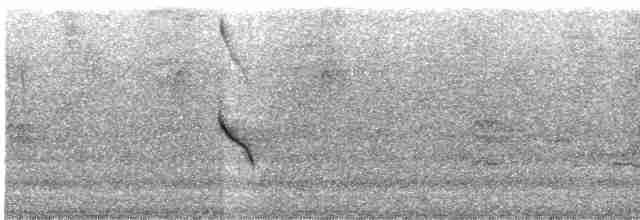 gulbrynkjernebiter - ML619471278