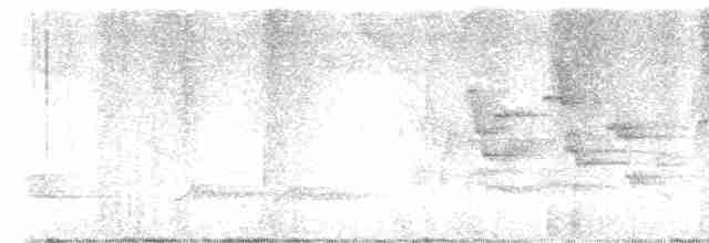 Черноголовый соловьиный дрозд - ML619471762