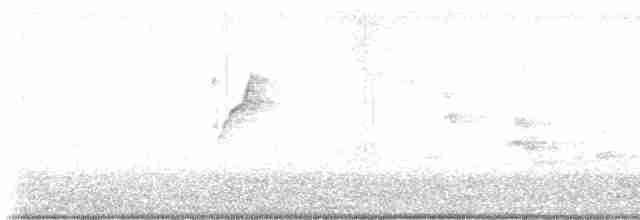 Kahverengi Gerdanlı Nektarkuşu - ML619471813