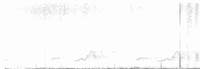 Schwarzkehl-Nachtschwalbe - ML619471863
