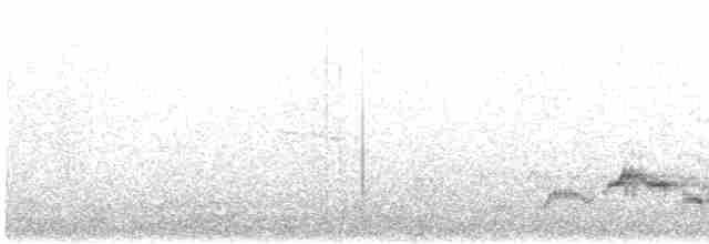 Дрізд-короткодзьоб Cвенсона - ML619471921