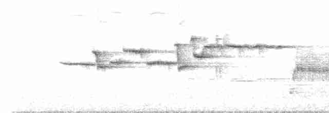 Гималайский короткокрыл - ML619472474