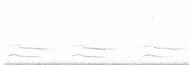 Красноплечий канюк - ML619472740
