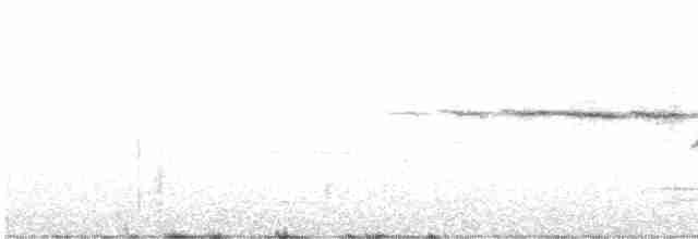 Paruline à gorge noire - ML619472850