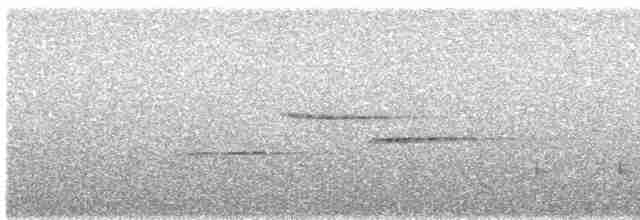 Gri Sırtlı Bülbül Ardıcı - ML619472928