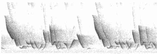 Plain-tailed Wren - ML619473533