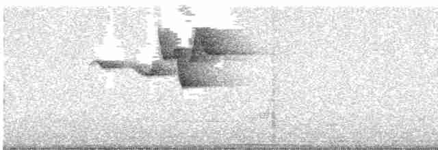 Cabanis Çıtkuşu - ML619473668