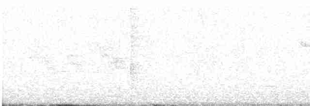holub bledolící - ML619473828