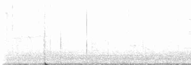 גיבתונית רוננת - ML619474358