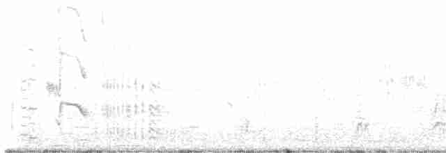 Hirondelle à front blanc - ML619474436