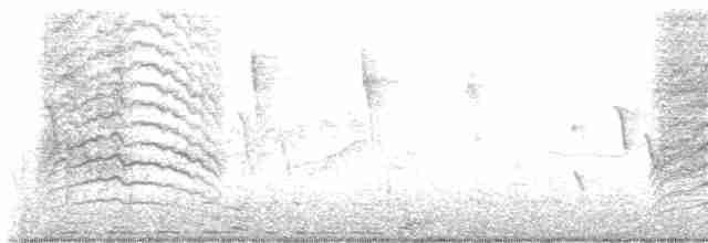 drozdec černohlavý - ML619474602