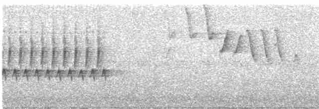 Длиннохвостый крапивник - ML619474669