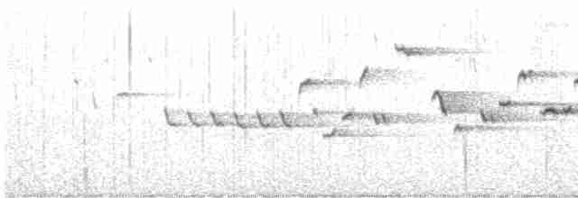 Troglodyte des forêts - ML619474725