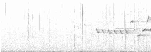 Orman Çıtkuşu - ML619474736