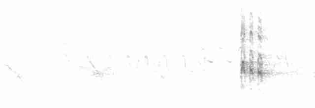 strakapoud bělohlavý - ML619474882