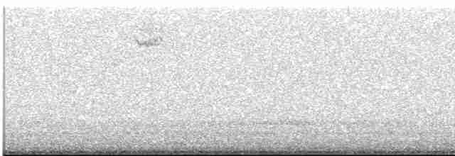 גיבתונית לבנת-גרון - ML619474951