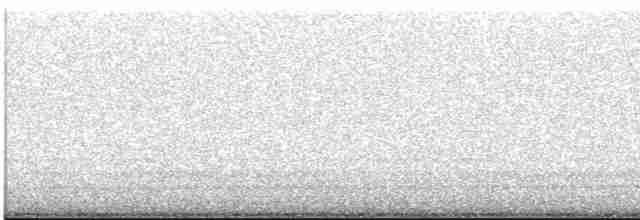 Chouette rayée - ML619474952