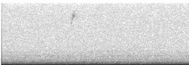 Дроздовый певун - ML619474956