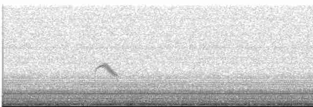 Дрізд-короткодзьоб малий - ML619474995