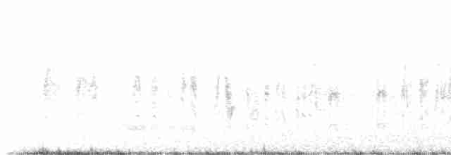 Берестянка бліда - ML619475066