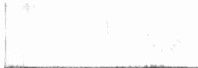 White-eyed Vireo - ML619475428