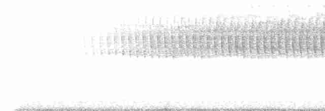 Paruline vermivore - ML619475498
