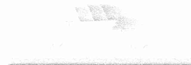 Reinita Protonotaria - ML619475582