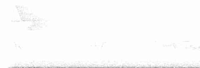 Reinita Protonotaria - ML619475583
