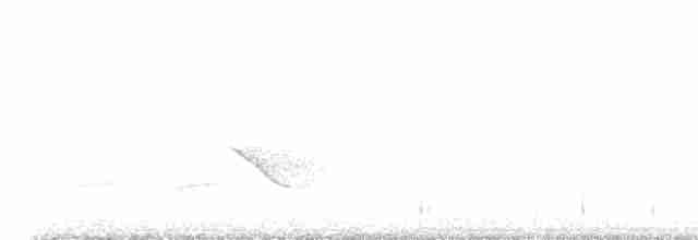 Дрізд-короткодзьоб бурий - ML619475757