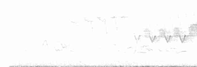 lesňáček modropláštíkový - ML619475832