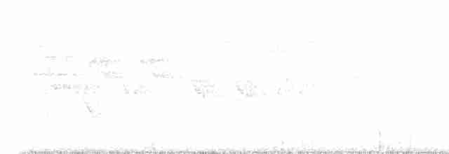 Cerulean Warbler - ML619475834