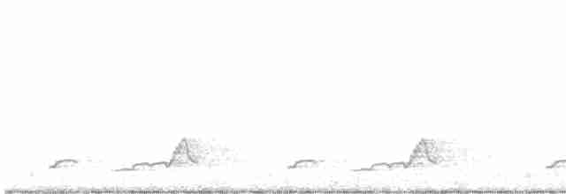 Schwarzkehl-Nachtschwalbe - ML619476147