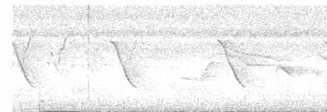 langhaleskredderfugl - ML619476161