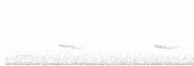 Ошейниковый зимородок - ML619476184