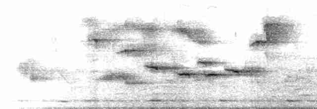 Papamoscas de Tickell - ML619476266
