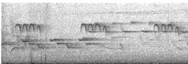 Tepeli Baştankara - ML619476281