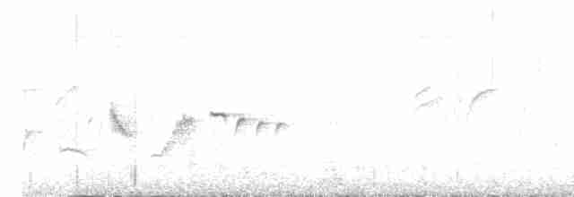 čejka černoprsá - ML619476381
