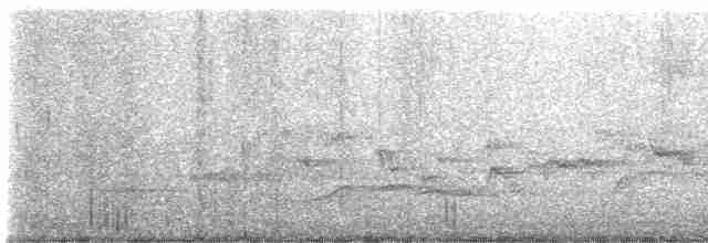 gransanger (collybita gr.) - ML619476395