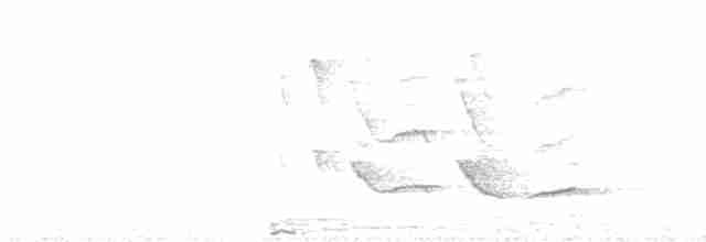 Малый черноголовый дубонос - ML619476431