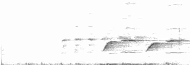 svartvingelarveeter - ML619476477