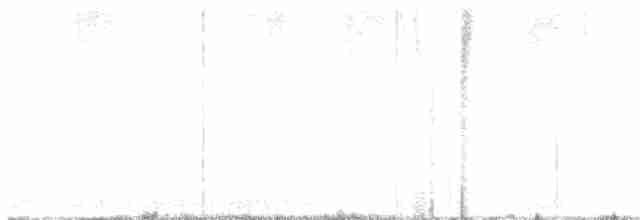 rákosník zpěvný - ML619476505