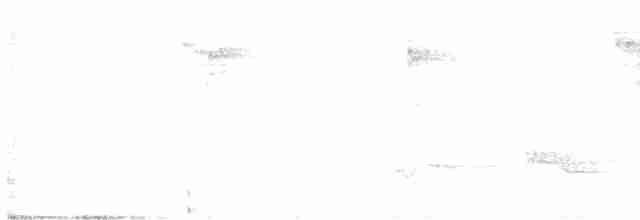 Чернокрылая пиранга - ML619476588