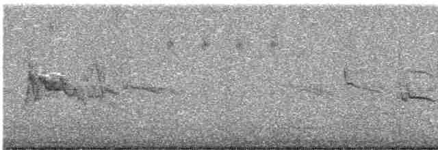 Zostérops à dos gris - ML619477324