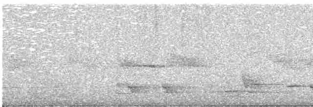 Méliphage carillonneur - ML619477358