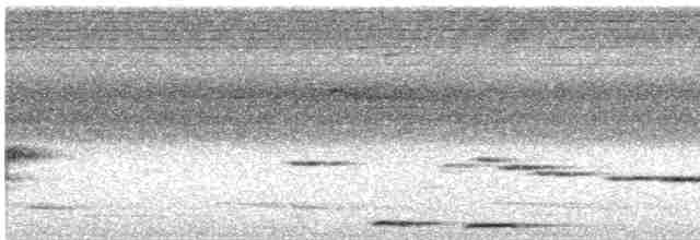 Common Cuckoo - ML619477381