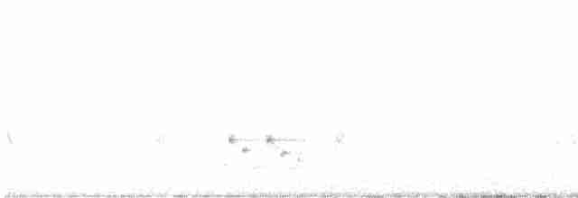 Çizgili Panterkuşu - ML619477437