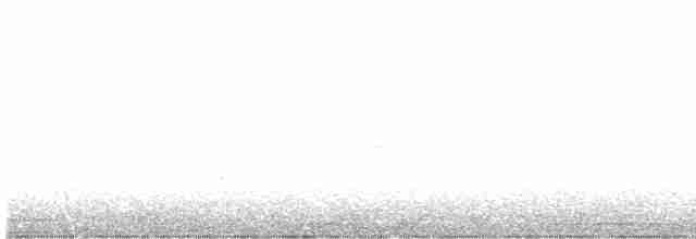 Дрізд-короткодзьоб малий - ML619477448